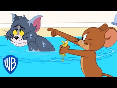 Tom Jerry Em Portugu S Brasil O Problema Do Carrapato Do Tom Wb