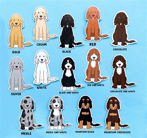 Doodle Sticker Golden Doodle Sticker Goldendoodle Sticker Etsy