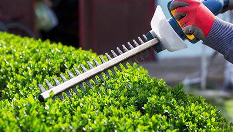 Why A Garden Maintenance Company Is Not Just A Lawn Mowing Service