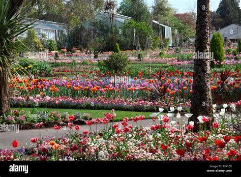 Singleton Park Garden Swansea In May Stock Photo Alamy