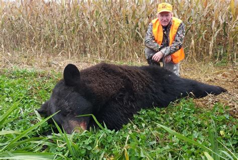 When Is Bear Season In Pa 2024 Tate Kittie