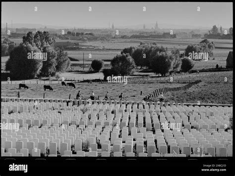 Tyne Cot Cwgc Cemetery At Passchendaele Belgium Looking Across The