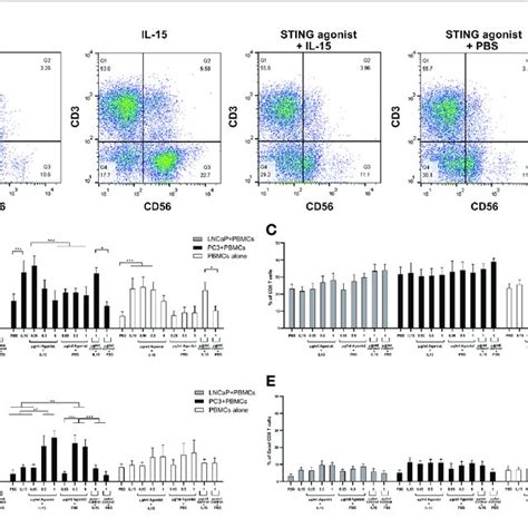 Activation Of Nk And T Cells After Co Culture Of Pc3 Or Lncap Cells