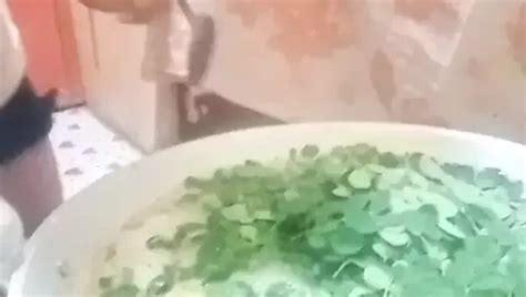 Ang Gandang Dilag Na Si Reyna Ng Jakolera Tranny Porn Xhamster