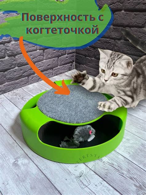 Интерактивная игрушка для котят ПОЙМАЙ МЫШКУ, Когтеточка для кошки ...