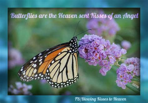 A Butterfly Sitting On Top Of Purple Flowers With A Quote Above It That