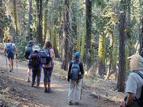 Sequoia National Park Hiking Tour - California | Timberline Adventures