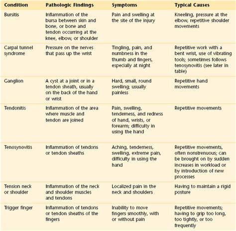 Musculoskeletal System Chart