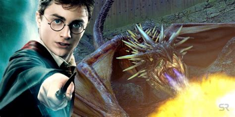 Harry Potter: 10 Best Magical Creatures, Ranked By Intelligence