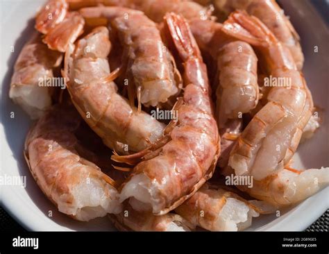 Grilled Argentina Red King Prawns Stock Photo Alamy