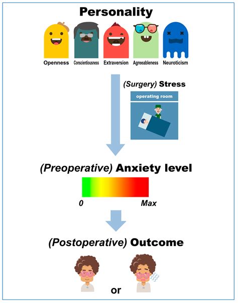 Ijerph Free Full Text Personality Preoperative Anxiety And