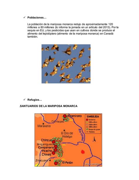 Práctica 3 Mariposa monarca PDF