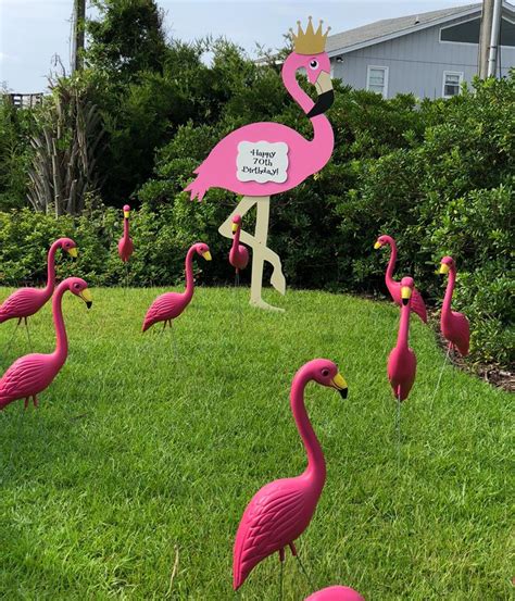 Fayetteville Nc Birthday Flamingo Signs Sandhills Baby And Birthday