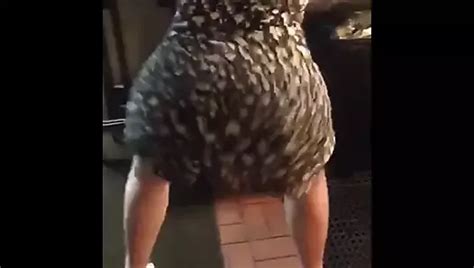 Free Big Booty Shaking Porn Videos XHamster