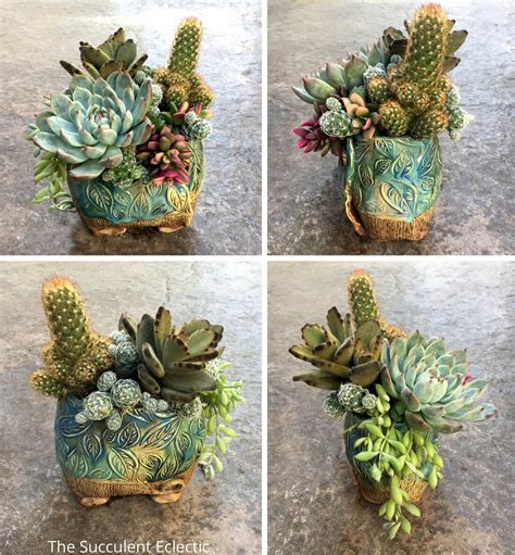 How To Plant Cacti And Succulents Together The Succulent Eclectic