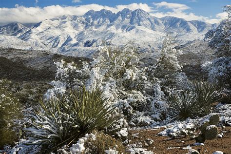 Four Peaks in Snow Photograph by Dave Dilli - Pixels