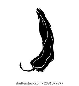 Silhouette Hot Chili Pepper Pod Vector Stock Vector Royalty Free Shutterstock