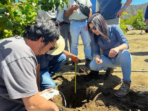 Citricultores De Punitaqui Aprenden A Optimizar Riego Y Enfrentar