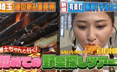 2022年10月1日 テレビ朝日 「サンドウィッチマン＆芦田愛菜の博士ちゃん」 傑作選 野菜博士の激レア野菜探し旅！｜新着情報｜みなとの野菜大辞典