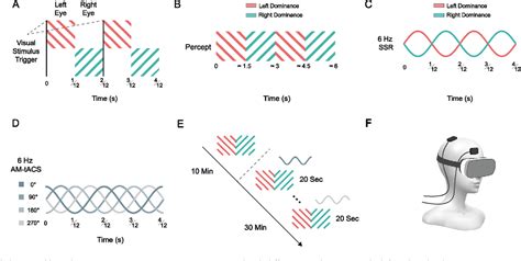 Figure 1 From In Vivo Phase Dependent Enhancement And Suppression Of