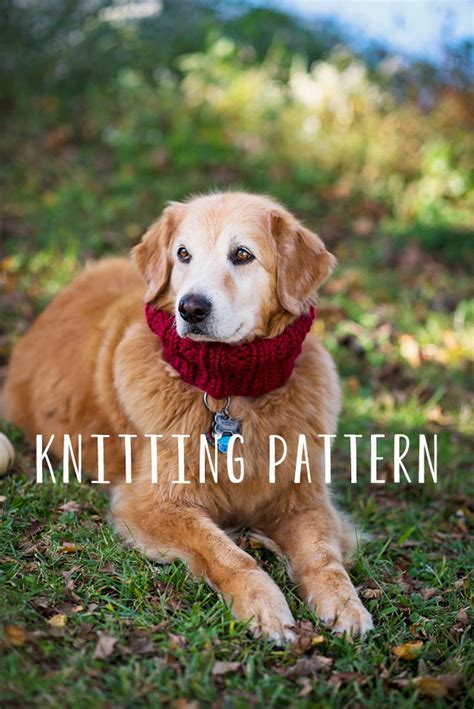 Dog Clothes PDF Knitting Pattern Immediate Download Easy Knitting ...