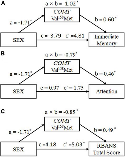 Frontiers The Inconsistent Mediating Effect Of Catechol O Methyl