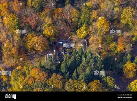 Aerial View Chinese Garden And Botanical Garden In Autumn Forest At