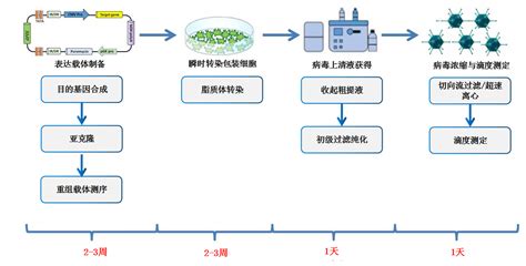 Car T病毒 爱康得生物科技（苏州）有限公司