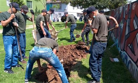 Proyección social Policía Nacional de Colombia RINEP