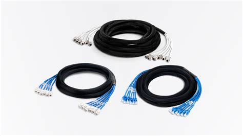 10m 33ft 6 Jack To 6 Jack Cat6 Unshielded UTP PVC CMR Blue Pre