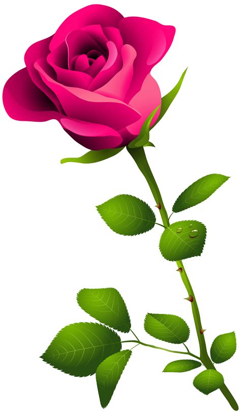 Pink Rose With Stem Png Clipart Image Gallery Yopriceville High