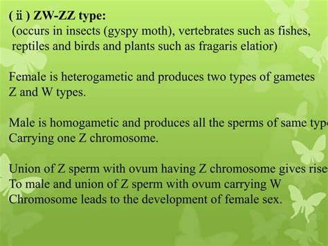 Sex Determination Chromosomal Theory Of Sex Determination Ppt