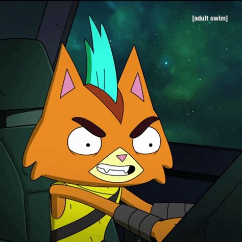 adult swim cat