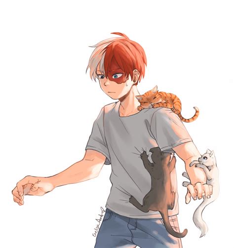 Shoto With Kittens Boku No Hero Academia Fan Art Fanpop