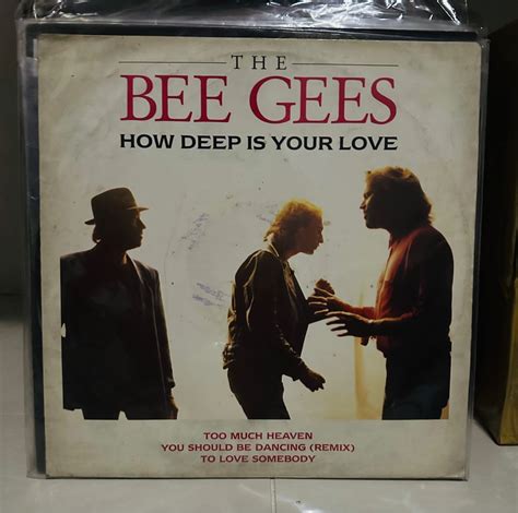 The Bee Gees Vinyl Records LP Plaka Hobbies Toys Music Media