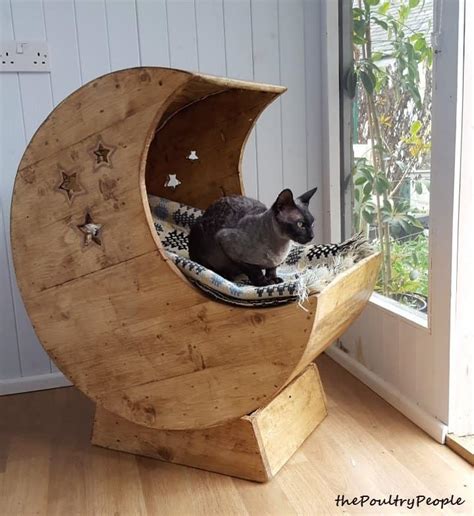 Cat Pallet Projects Here Are 10 Amazing Ideas For Them 1001 Pallets