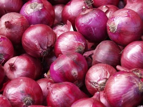 A Cebola Roxa Serve Para Quê - Cebola roxa: Para que serve, valor nutricional, benefícios e receitas ...