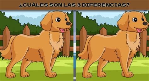 Reto Visual Para Mentes Brillantes Encuentra Las Diferencias En Solo