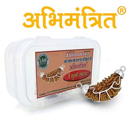 Buy 100% Original 1 Mukhi Rudraksha Online at Low Price in India ...