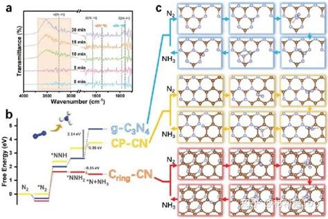 南京理工杨勇 沈锦优small：生物质诱导双相碳修饰c3n4，光催化固氮！ 知乎