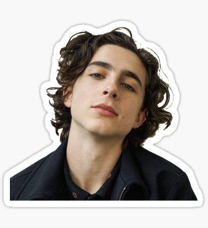 Timothee Chalamet Stickers Timothee Chalamet Stickers Red Bubble