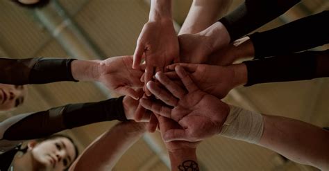 Team Holding Hands · Free Stock Photo