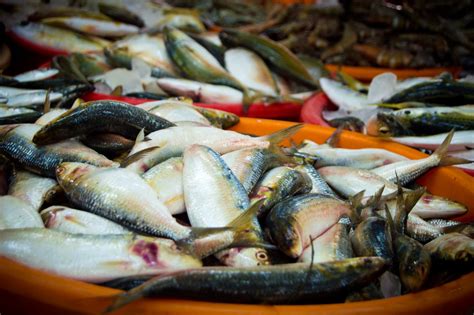 Fish Market Free Photo Download | FreeImages