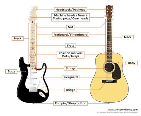 Parts Of A Guitar Including String Labels Fret Numbering And More Guitar Learn Music Theory