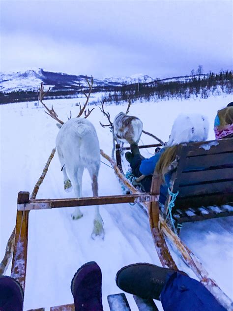 How to Spend 5 Days in Tromso, Norway - Tromsø, Norway Itinerary — The