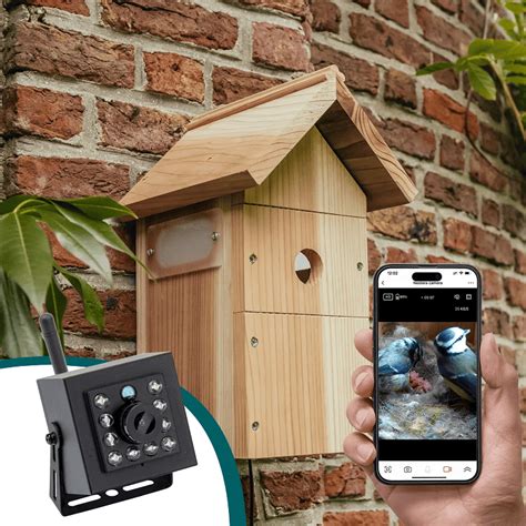 Best Birdhouse Cameras Guide - Birding Insider