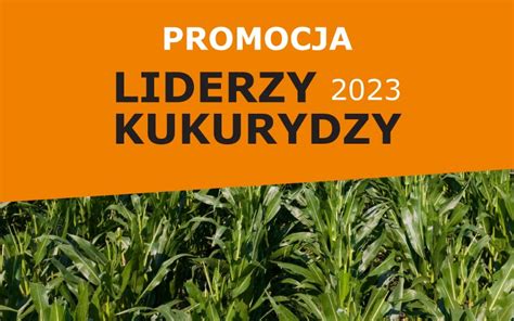 Lidea Promocja Nasion Liderzy Kukurydzy 2023