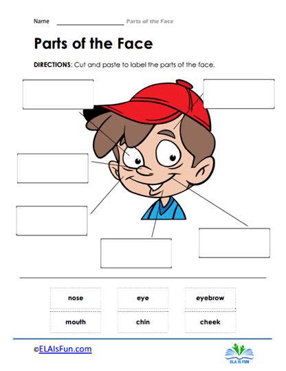 Parts of the Face Worksheets - 15 Worksheets.com