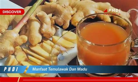 Temukan 7 Manfaat Temulawak Dan Madu Yang Bikin Kamu Penasaran