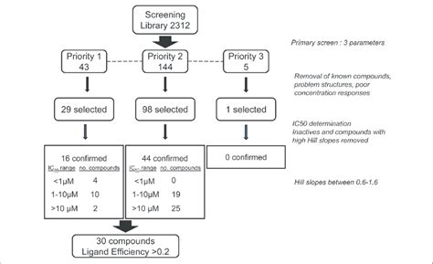 Summary Of Compound Screening Cascade And Hit Validation Showing Number Download Scientific